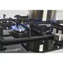 Варочная поверхность Freggia HCG430VGTB - 5