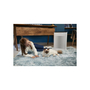 Воздухоочиститель Rowenta PU3040F0 - 6