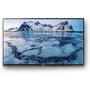 Телевизор Sony KDL49WE665BR - 4