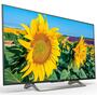 Телевизор Sony KD43XF8096BR2 - 1