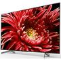 Телевизор Sony KD65XG8596BR2 - 3