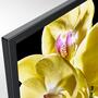 Телевизор Sony KD75XG8096BR2 - 6