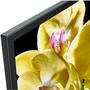 Телевизор Sony KD55XG8096BR - 5