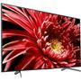 Телевизор Sony KD55XG8596BR - 1