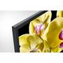 Телевизор Sony KD49XG8096BR - 4