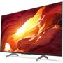 Телевизор Sony KD49XH8596BR - 2