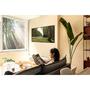 Телевизор LG OLED77G16LA - 6