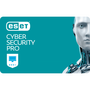 Антивирус Eset Cyber Security Pro для 13 ПК, лицензия на 1year (36_13_1) - 1