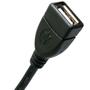 Дата кабель OTG USB 2.0 AF to Micro 5P 0.1m Extradigital (KBO1623) - 1