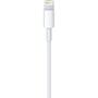 Дата кабель USB 2.0 AM to Lightning 2.0m Apple (MD819ZM/A) - 1 Дата кабель USB 2.0 AM to Lightning 2.0m Apple (MD819ZM/A) - 1
