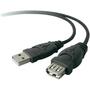Дата кабель USB2.0 AM/AF 3.0m Belkin (F3U153CP3M) - 1