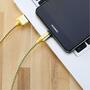 Дата кабель USB 2.0 AM to Type-C 1.0m Gravity series Magnetic gold Remax (RC-095A-GOLD) - 3