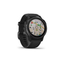 Смарт-часы Garmin fenix 6S Pro, Black w/Black Band (010-02159-14) - 2