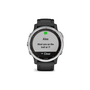 Смарт-часы Garmin fenix 6S Solar, Silver w/Black Band (010-02409-00) - 6