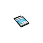 Карта памяти Kingston 256GB SDXC class 10 UHS-I U3 Canvas Go Plus (SDG3/256GB) - 1