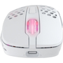 Мышка Xtrfy M4 RGB Wireless White (XG-M4-WL-WHITE) - 2 Мышка Xtrfy M4 RGB Wireless White (XG-M4-WL-WHITE) - 2