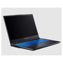 Ноутбук Dream Machines RS3070-15 (RS3070-15UA54) - 5