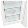 Морозильная камера Gorenje FN619EEW5 - 10