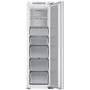 Морозильная камера Samsung BRZ227200WW/UA - 1